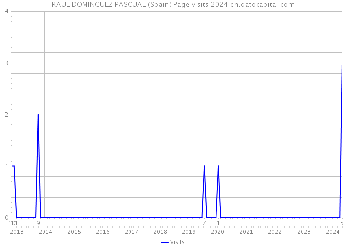 RAUL DOMINGUEZ PASCUAL (Spain) Page visits 2024 