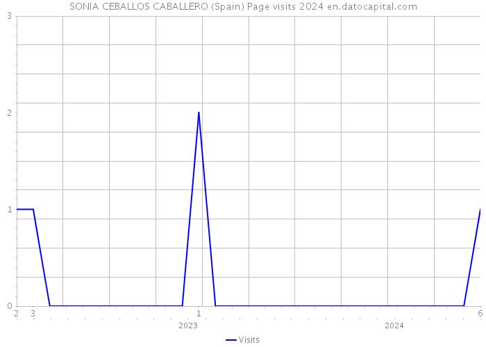 SONIA CEBALLOS CABALLERO (Spain) Page visits 2024 