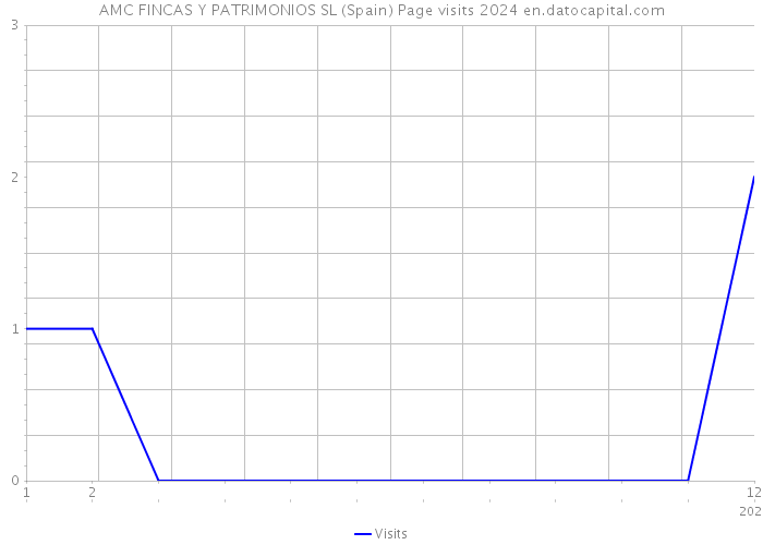 AMC FINCAS Y PATRIMONIOS SL (Spain) Page visits 2024 