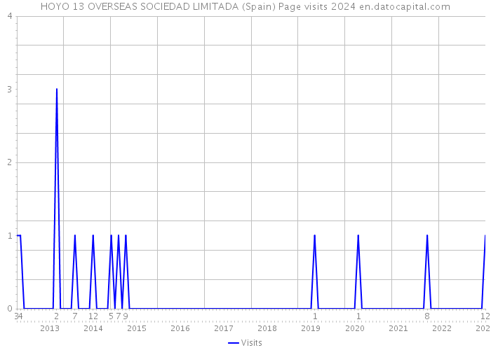 HOYO 13 OVERSEAS SOCIEDAD LIMITADA (Spain) Page visits 2024 