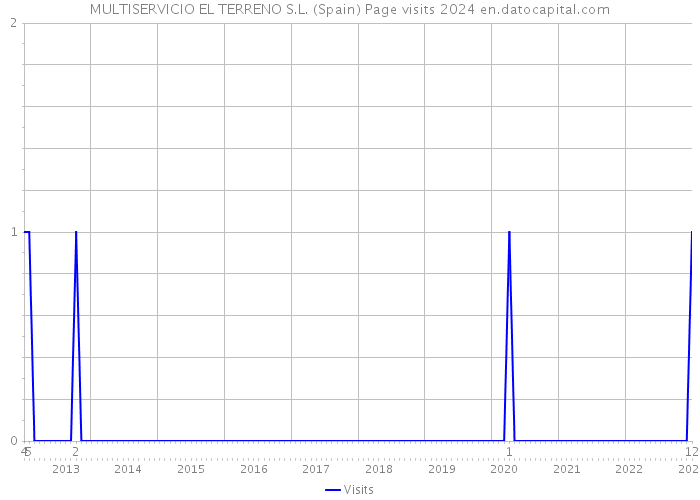 MULTISERVICIO EL TERRENO S.L. (Spain) Page visits 2024 