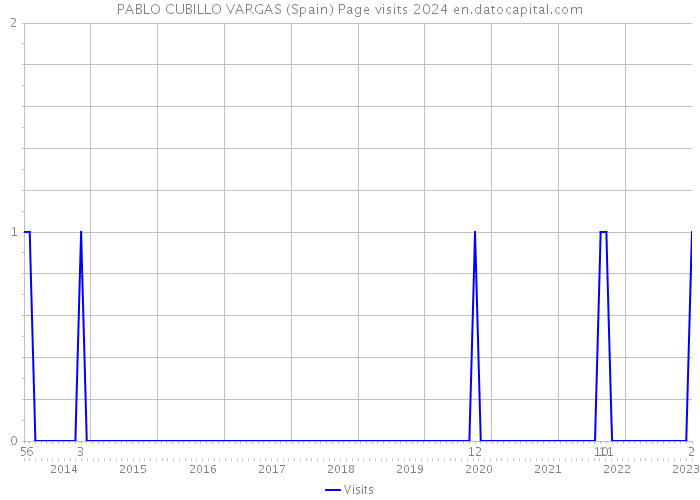 PABLO CUBILLO VARGAS (Spain) Page visits 2024 