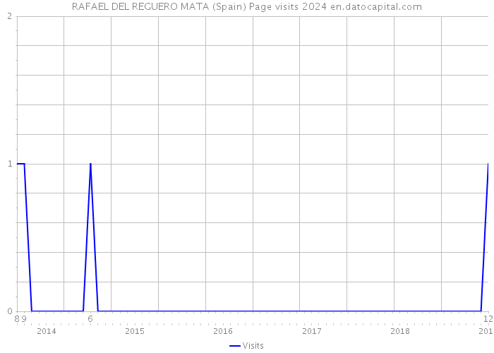 RAFAEL DEL REGUERO MATA (Spain) Page visits 2024 