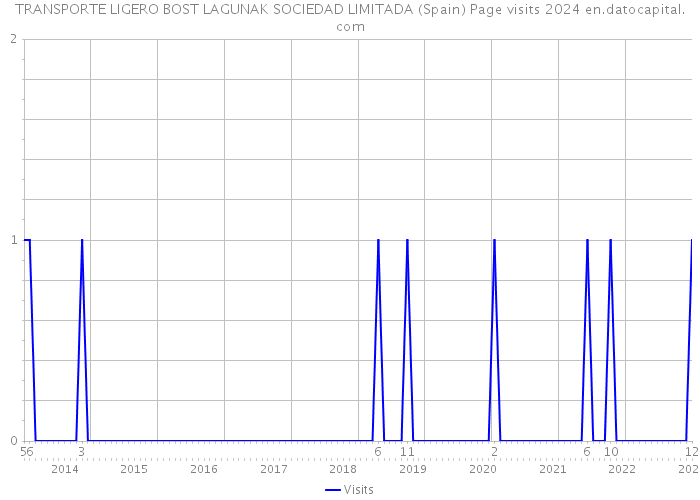TRANSPORTE LIGERO BOST LAGUNAK SOCIEDAD LIMITADA (Spain) Page visits 2024 