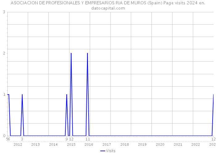 ASOCIACION DE PROFESIONALES Y EMPRESARIOS RIA DE MUROS (Spain) Page visits 2024 