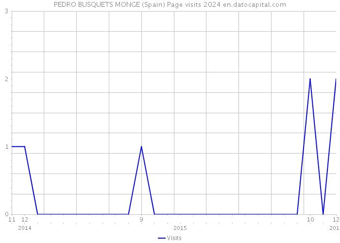 PEDRO BUSQUETS MONGE (Spain) Page visits 2024 