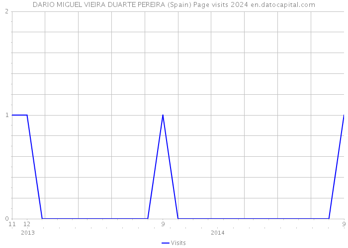 DARIO MIGUEL VIEIRA DUARTE PEREIRA (Spain) Page visits 2024 