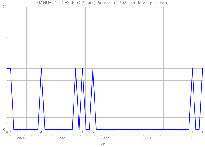 MANUEL GIL CESTERO (Spain) Page visits 2024 
