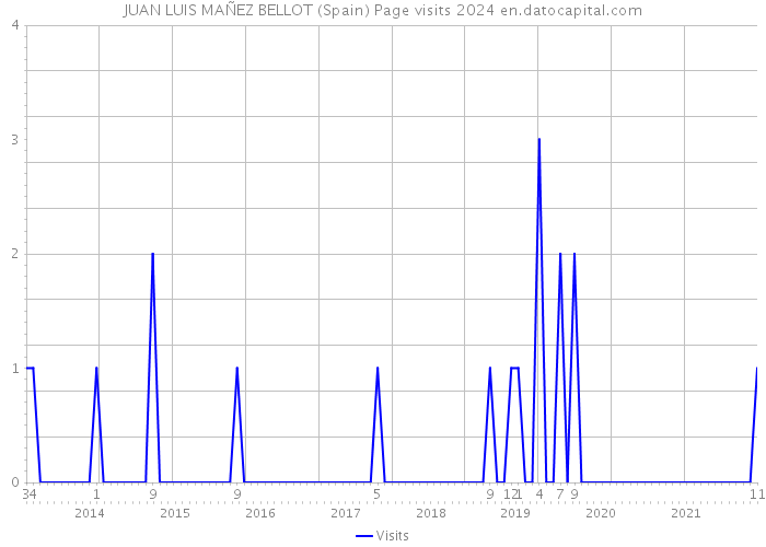 JUAN LUIS MAÑEZ BELLOT (Spain) Page visits 2024 