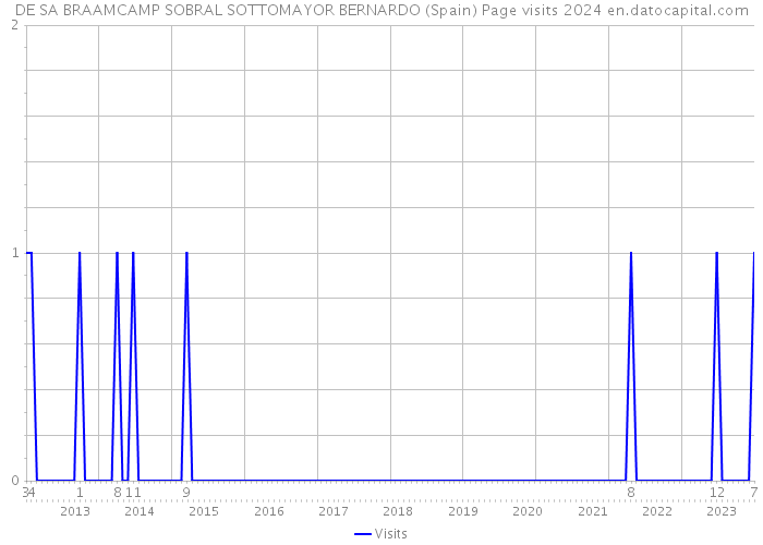 DE SA BRAAMCAMP SOBRAL SOTTOMAYOR BERNARDO (Spain) Page visits 2024 