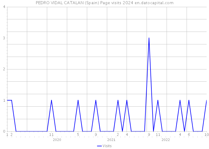 PEDRO VIDAL CATALAN (Spain) Page visits 2024 