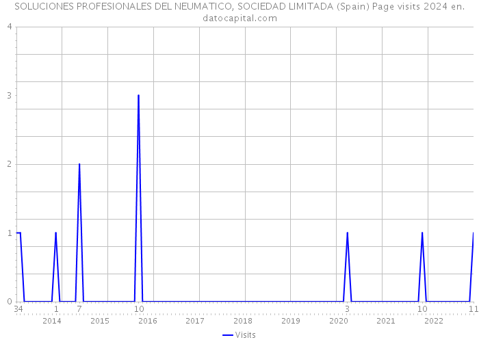 SOLUCIONES PROFESIONALES DEL NEUMATICO, SOCIEDAD LIMITADA (Spain) Page visits 2024 