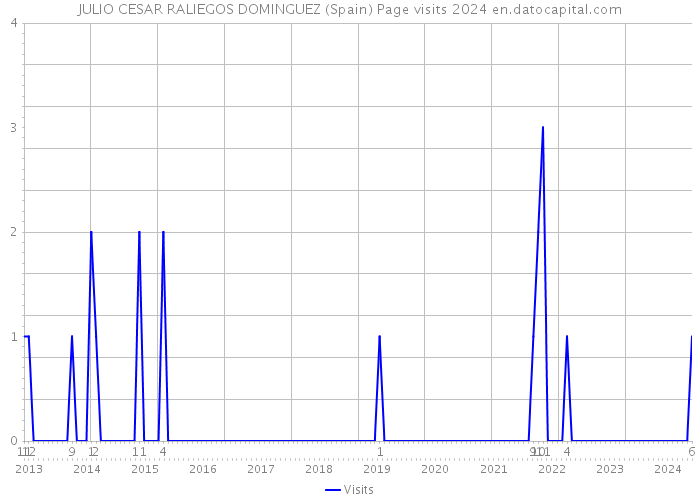 JULIO CESAR RALIEGOS DOMINGUEZ (Spain) Page visits 2024 