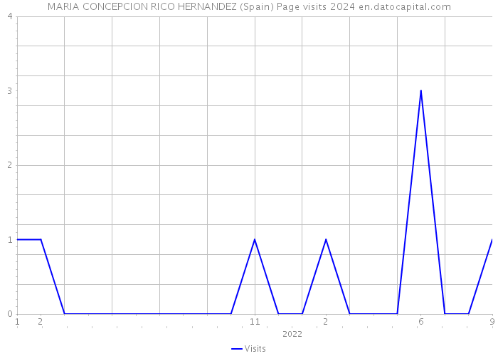 MARIA CONCEPCION RICO HERNANDEZ (Spain) Page visits 2024 