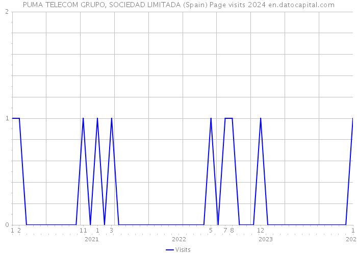 PUMA TELECOM GRUPO, SOCIEDAD LIMITADA (Spain) Page visits 2024 