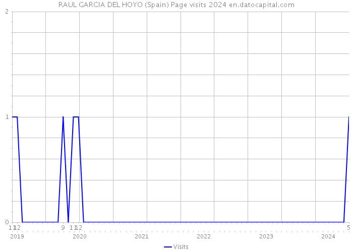 RAUL GARCIA DEL HOYO (Spain) Page visits 2024 