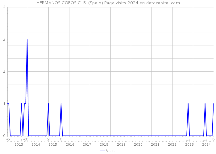 HERMANOS COBOS C. B. (Spain) Page visits 2024 