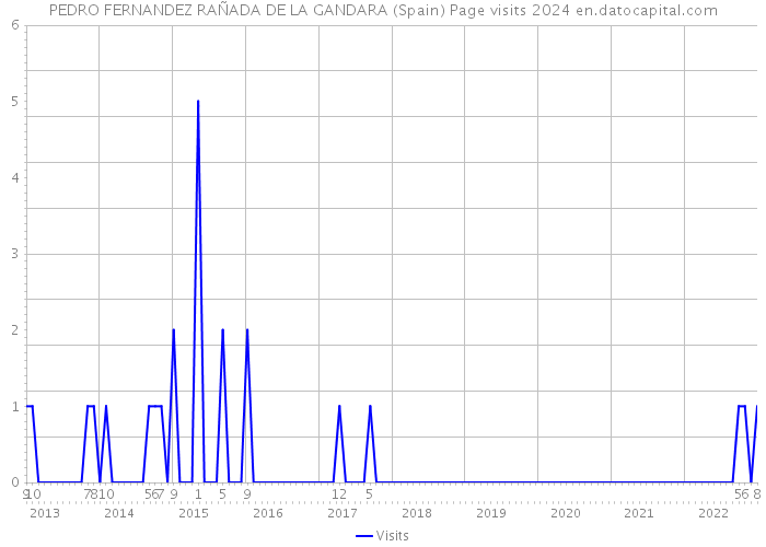 PEDRO FERNANDEZ RAÑADA DE LA GANDARA (Spain) Page visits 2024 