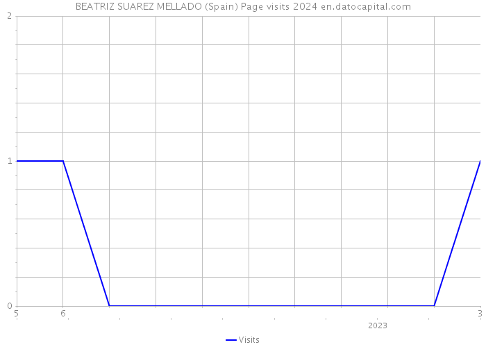 BEATRIZ SUAREZ MELLADO (Spain) Page visits 2024 