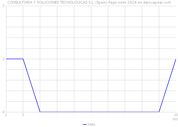 CONSULTORIA Y SOLUCIONES TECNOLOGICAS S.L. (Spain) Page visits 2024 