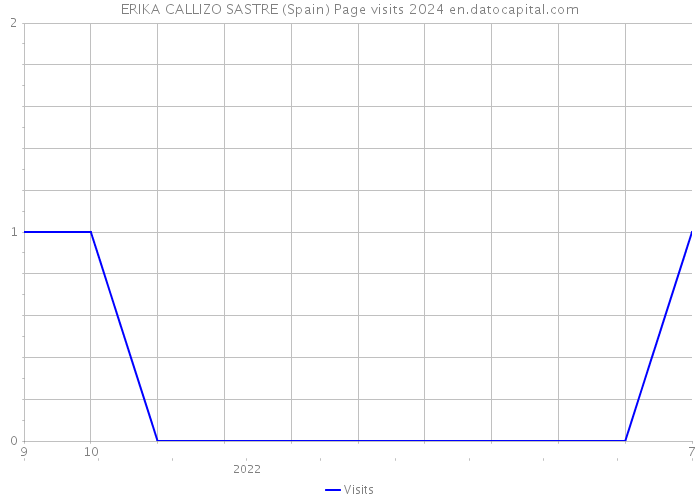 ERIKA CALLIZO SASTRE (Spain) Page visits 2024 