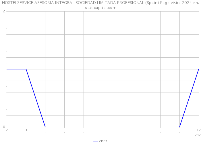 HOSTELSERVICE ASESORIA INTEGRAL SOCIEDAD LIMITADA PROFESIONAL (Spain) Page visits 2024 