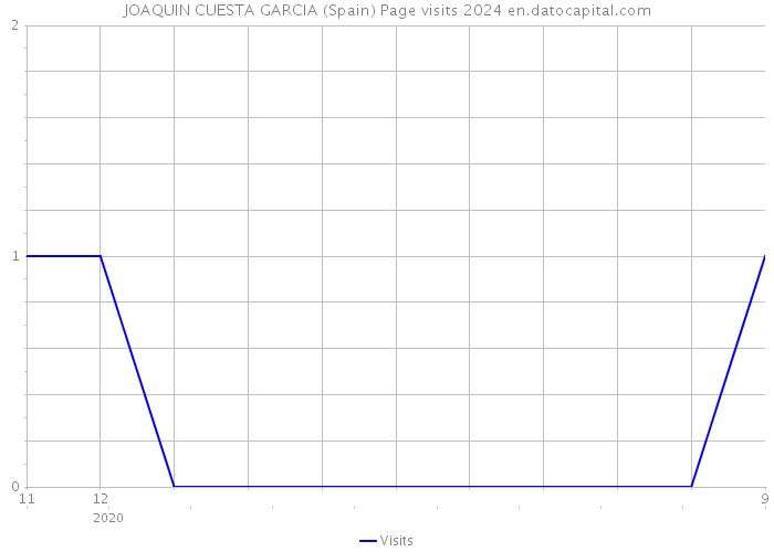 JOAQUIN CUESTA GARCIA (Spain) Page visits 2024 