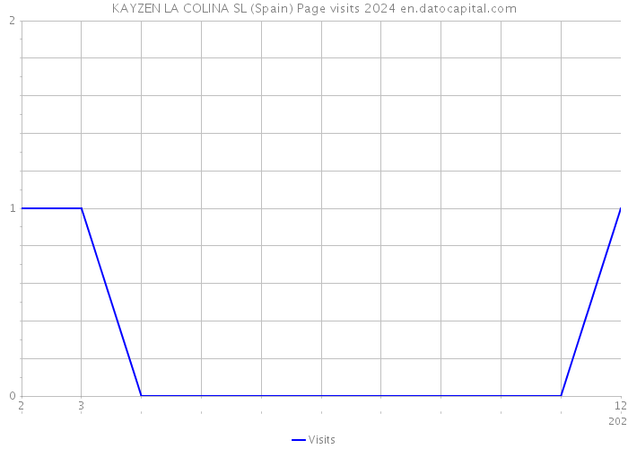 KAYZEN LA COLINA SL (Spain) Page visits 2024 