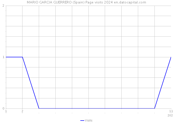 MARIO GARCIA GUERRERO (Spain) Page visits 2024 