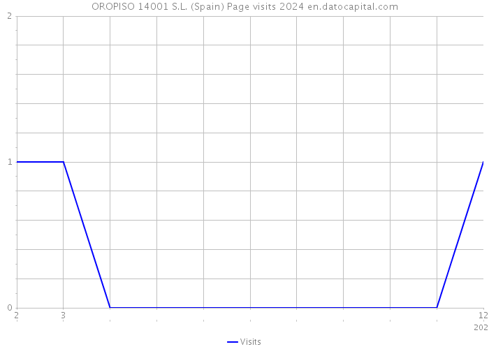 OROPISO 14001 S.L. (Spain) Page visits 2024 