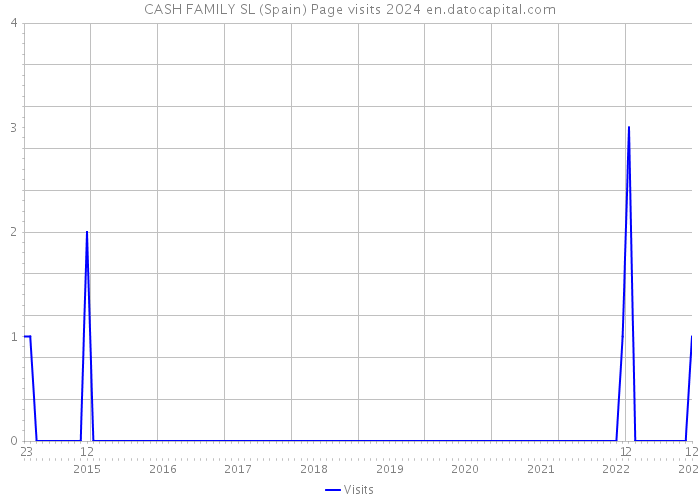 CASH FAMILY SL (Spain) Page visits 2024 
