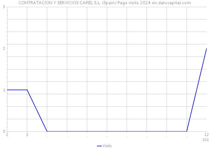 CONTRATACION Y SERVICIOS CAREL S.L. (Spain) Page visits 2024 