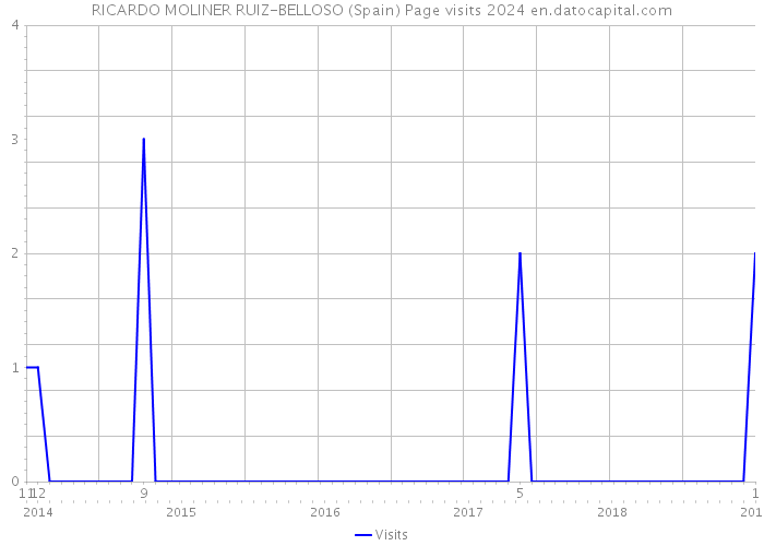 RICARDO MOLINER RUIZ-BELLOSO (Spain) Page visits 2024 