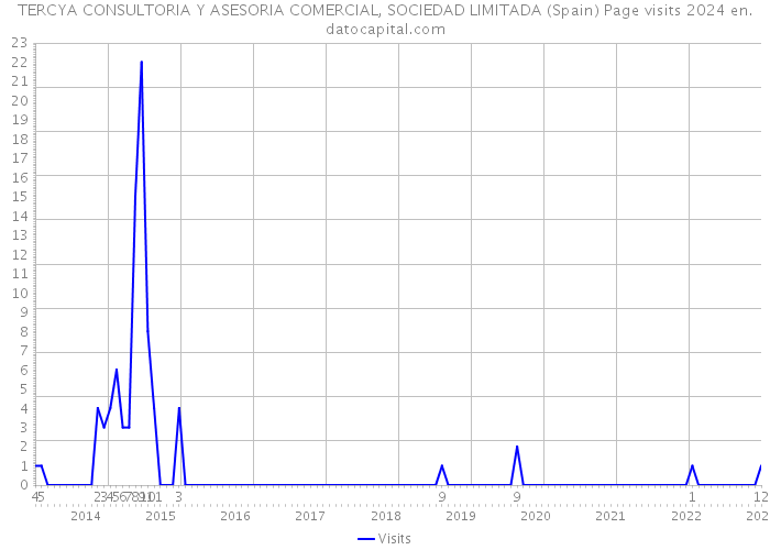 TERCYA CONSULTORIA Y ASESORIA COMERCIAL, SOCIEDAD LIMITADA (Spain) Page visits 2024 