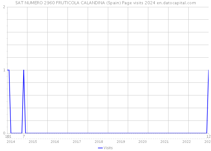 SAT NUMERO 2960 FRUTICOLA CALANDINA (Spain) Page visits 2024 