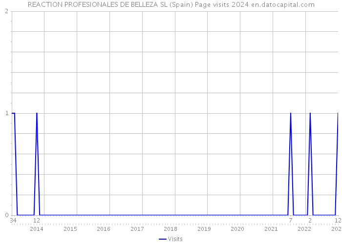 REACTION PROFESIONALES DE BELLEZA SL (Spain) Page visits 2024 