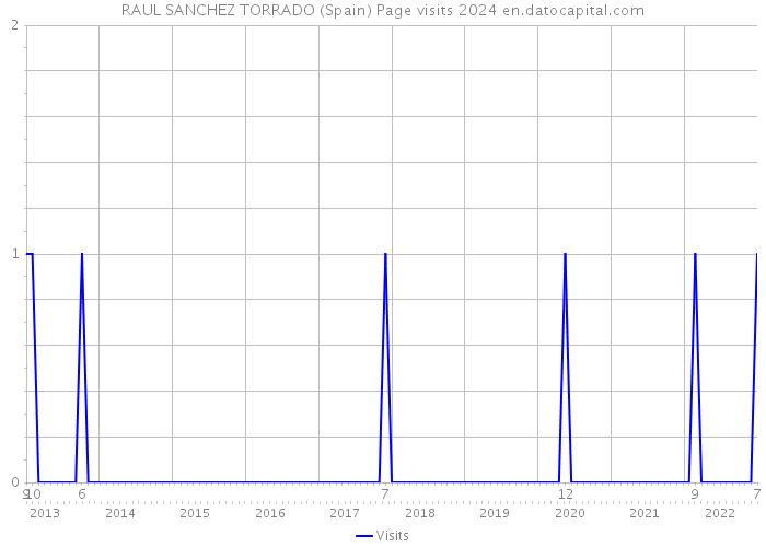 RAUL SANCHEZ TORRADO (Spain) Page visits 2024 