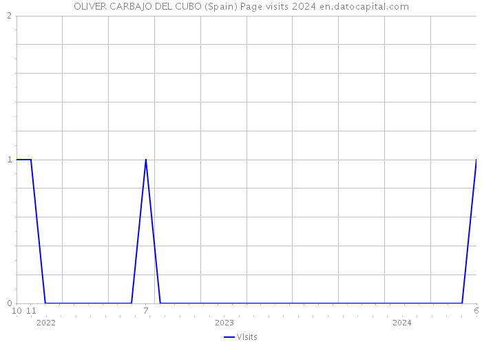 OLIVER CARBAJO DEL CUBO (Spain) Page visits 2024 