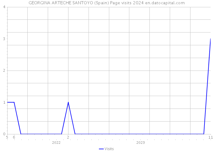 GEORGINA ARTECHE SANTOYO (Spain) Page visits 2024 