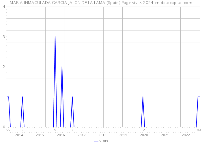MARIA INMACULADA GARCIA JALON DE LA LAMA (Spain) Page visits 2024 