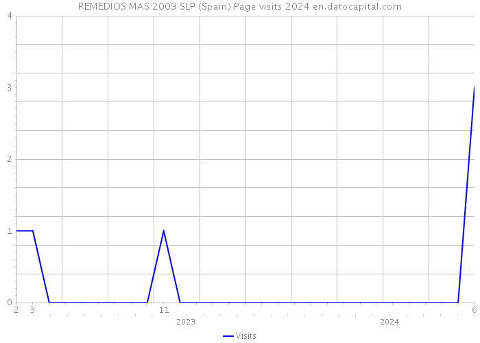 REMEDIOS MAS 2009 SLP (Spain) Page visits 2024 