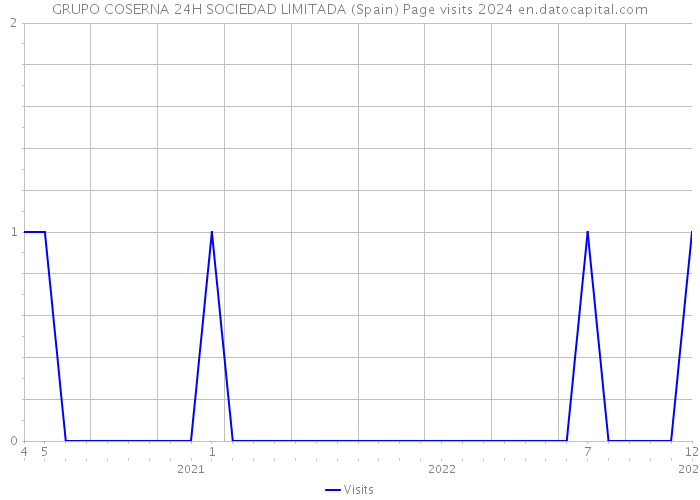 GRUPO COSERNA 24H SOCIEDAD LIMITADA (Spain) Page visits 2024 