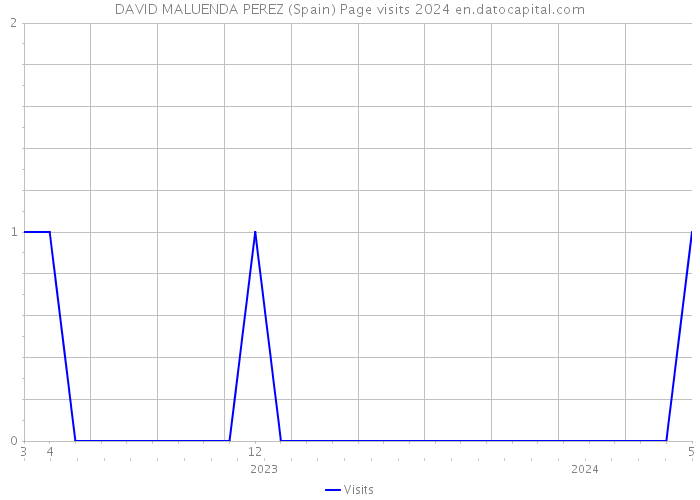 DAVID MALUENDA PEREZ (Spain) Page visits 2024 