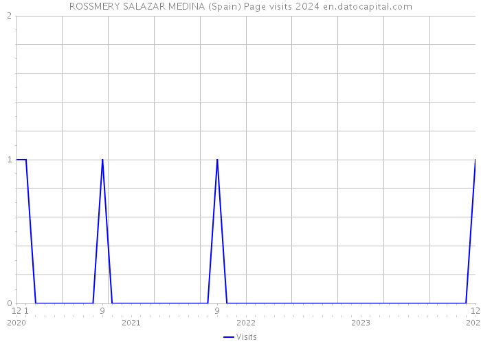 ROSSMERY SALAZAR MEDINA (Spain) Page visits 2024 