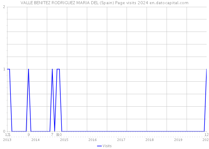 VALLE BENITEZ RODRIGUEZ MARIA DEL (Spain) Page visits 2024 