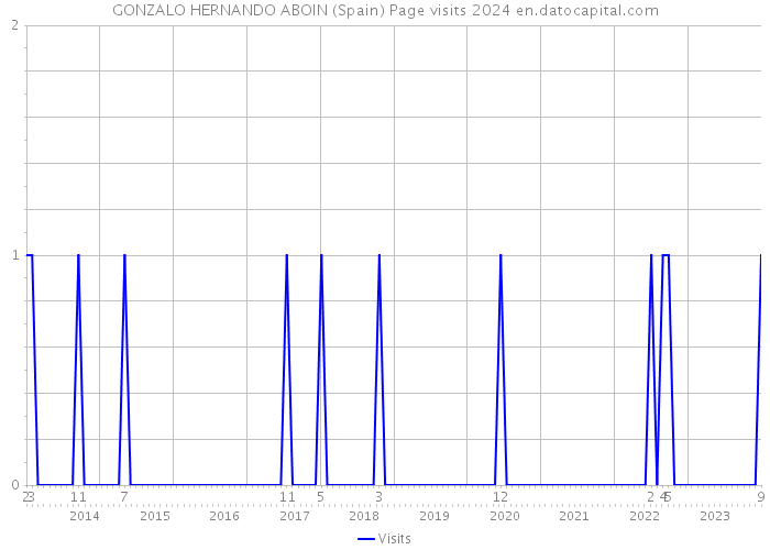 GONZALO HERNANDO ABOIN (Spain) Page visits 2024 