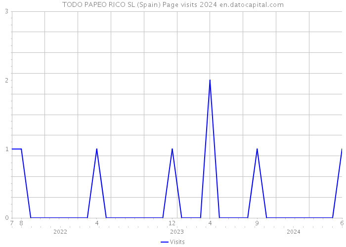 TODO PAPEO RICO SL (Spain) Page visits 2024 