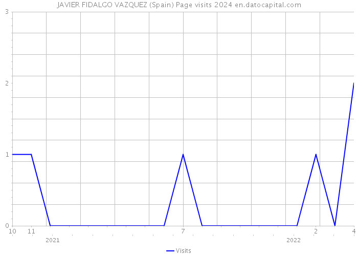 JAVIER FIDALGO VAZQUEZ (Spain) Page visits 2024 