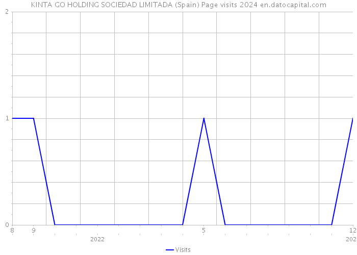 KINTA GO HOLDING SOCIEDAD LIMITADA (Spain) Page visits 2024 