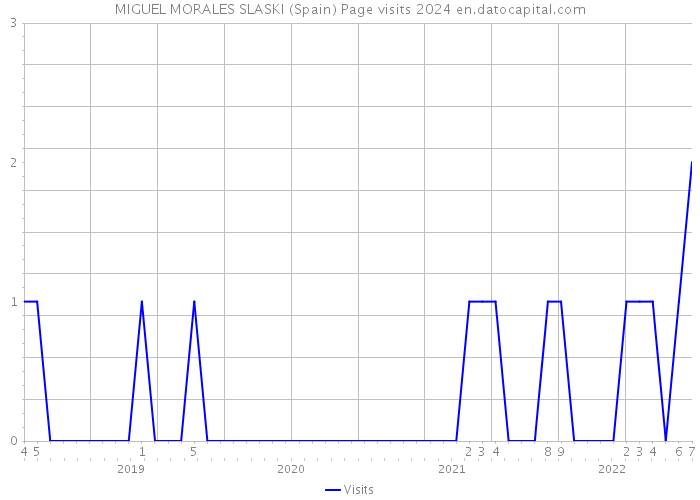 MIGUEL MORALES SLASKI (Spain) Page visits 2024 